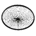 Wheel 29" 144 Spoke Coaster Steel Black (Single Wall, 14g Black Spokes, 3/8" Axle)